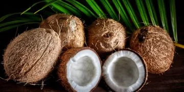 Kokosnöt - Drömmarnas Betydelse Och Symbolik 50