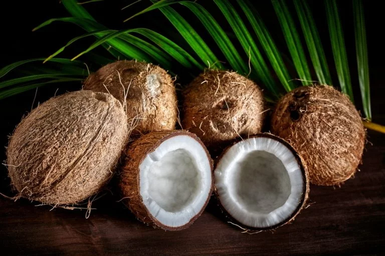 Kokosnöt - Drömmarnas Betydelse Och Symbolik 1