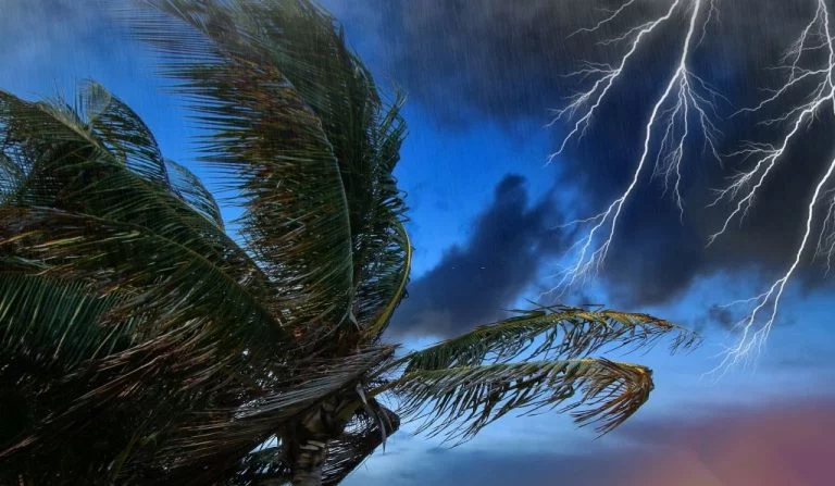 Orkanen – Drömmarnas Betydelse Och Symbolik 1