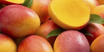 Mango - Drömmarnas Betydelse Och Symbolik 11