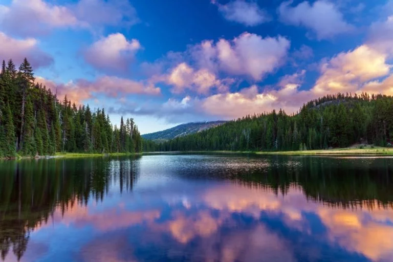 Sjön – Drömmarnas Betydelse Och Symbolik 1
