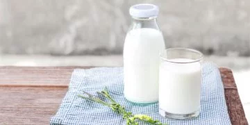 Mjölk – Drömmarnas Betydelse Och Symbolik 24