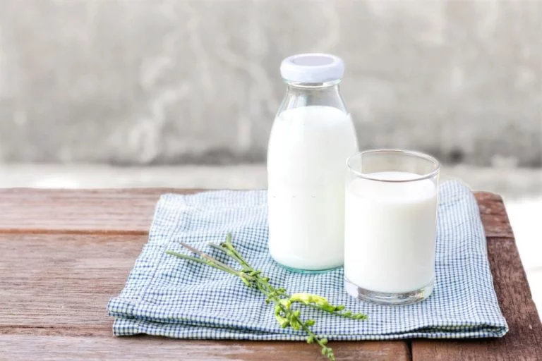 Mjölk – Drömmarnas Betydelse Och Symbolik 1