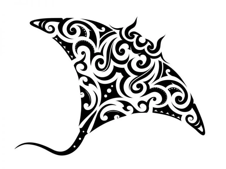 Arraia Maori – Drömmarnas Betydelse Och Symbolik 1